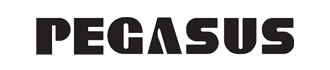 Brand Pegasus